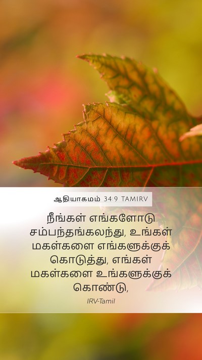 ஆதியாகமம் 34:9 TAMIRV Bible Verse Image