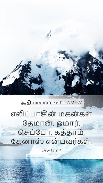 ஆதியாகமம் 36:11 TAMIRV Mobile Phone Wallpaper - எலிப்பாசின் - Mobile Bible Verse Wallpaper