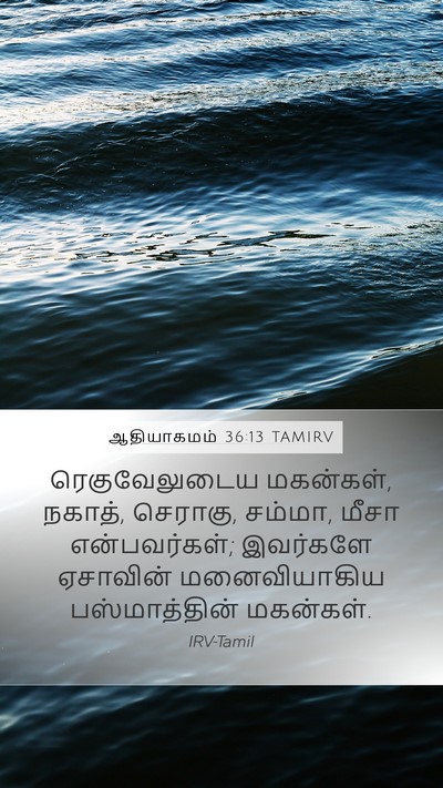 ஆதியாகமம் 36:13 TAMIRV Bible Verse Image