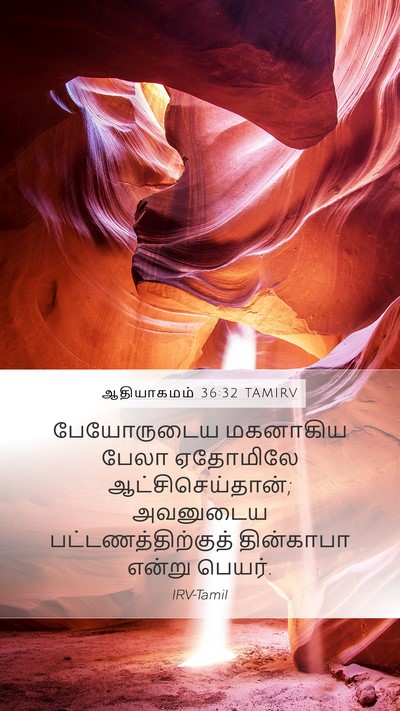 ஆதியாகமம் 36:32 TAMIRV Mobile Phone Wallpaper - பேயோருடைய மகனாகிய - Mobile Bible Verse Wallpaper