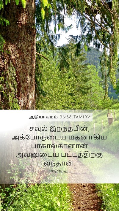 ஆதியாகமம் 36:38 TAMIRV Mobile Phone Wallpaper - சவுல் இறந்தபின், - Mobile Bible Verse Wallpaper