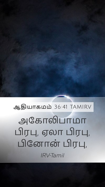 ஆதியாகமம் 36:41 TAMIRV Mobile Phone Wallpaper - அகோலிபாமா பிரபு, - Mobile Bible Verse Wallpaper