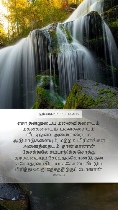ஆதியாகமம் 36:6 TAMIRV Bible Verse Image