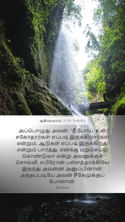ஆதியாகமம் 37:14 TAMIRV Bible Verse Image