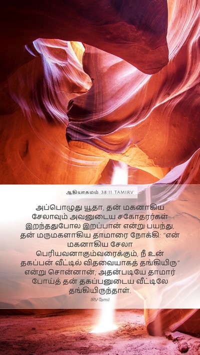 ஆதியாகமம் 38:11 TAMIRV Bible Verse Image