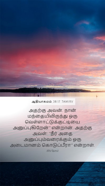 ஆதியாகமம் 38:17 TAMIRV Mobile Phone Wallpaper - அதற்கு அவன்: நான் - Mobile Bible Verse Wallpaper