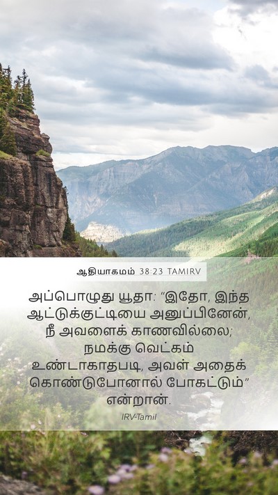 ஆதியாகமம் 38:23 TAMIRV Mobile Phone Wallpaper - அப்பொழுது யூதா: - Mobile Bible Verse Wallpaper