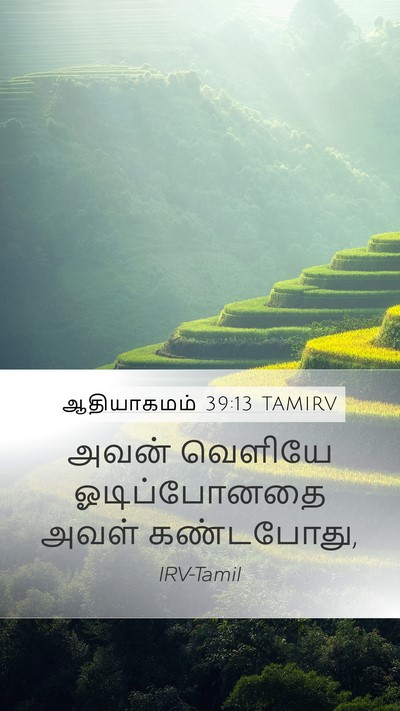 ஆதியாகமம் 39:13 TAMIRV Mobile Phone Wallpaper - அவன் வெளியே - Mobile Bible Verse Wallpaper