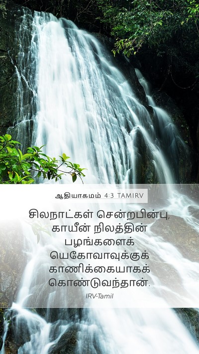 ஆதியாகமம் 4:3 TAMIRV Bible Verse Image