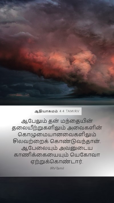 ஆதியாகமம் 4:4 TAMIRV Bible Verse Image