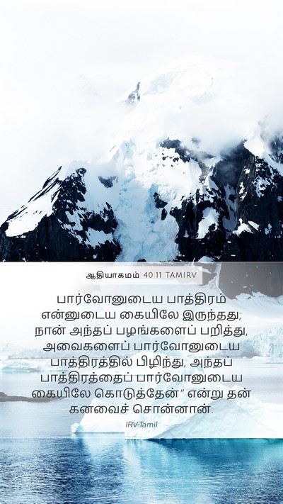 ஆதியாகமம் 40:11 TAMIRV Mobile Phone Wallpaper - பார்வோனுடைய - Mobile Bible Verse Wallpaper