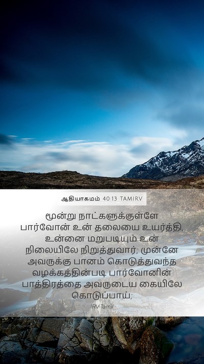 ஆதியாகமம் 40:13 TAMIRV Bible Verse Image