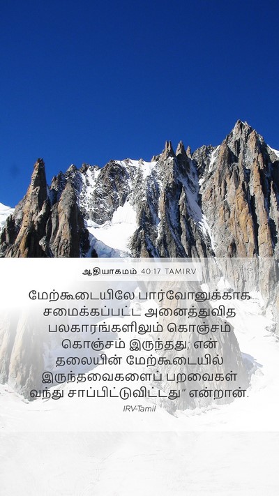 ஆதியாகமம் 40:17 TAMIRV Bible Verse Image