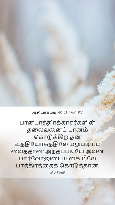 ஆதியாகமம் 40:21 TAMIRV Bible Verse Image