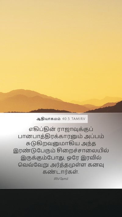 ஆதியாகமம் 40:5 TAMIRV Mobile Phone Wallpaper - எகிப்தின் - Mobile Bible Verse Wallpaper