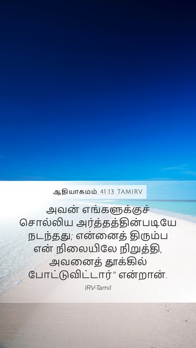 ஆதியாகமம் 41:13 TAMIRV Mobile Phone Wallpaper - அவன் எங்களுக்குச் - Mobile Bible Verse Wallpaper