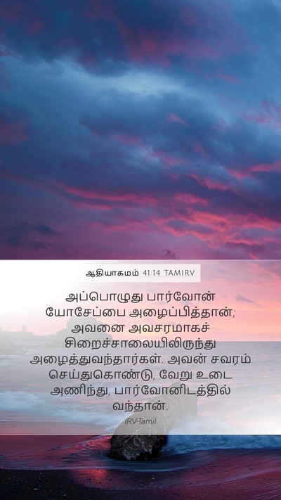 ஆதியாகமம் 41:14 TAMIRV Bible Verse Image
