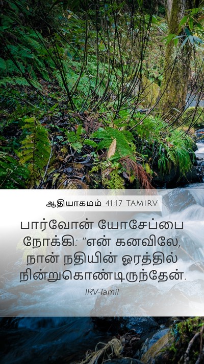 ஆதியாகமம் 41:17 TAMIRV Mobile Phone Wallpaper - பார்வோன் யோசேப்பை - Mobile Bible Verse Wallpaper