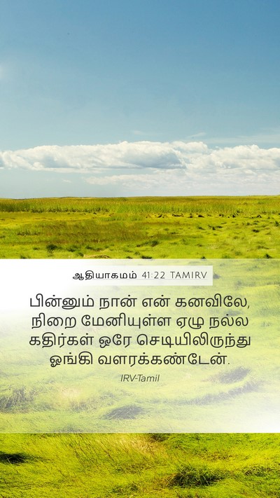 ஆதியாகமம் 41:22 TAMIRV Mobile Phone Wallpaper - பின்னும் நான் என் - Mobile Bible Verse Wallpaper