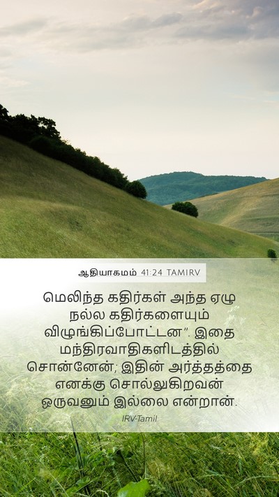 ஆதியாகமம் 41:24 TAMIRV Mobile Phone Wallpaper - மெலிந்த கதிர்கள் - Mobile Bible Verse Wallpaper