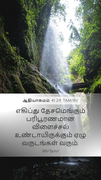 ஆதியாகமம் 41:29 TAMIRV Bible Verse Image