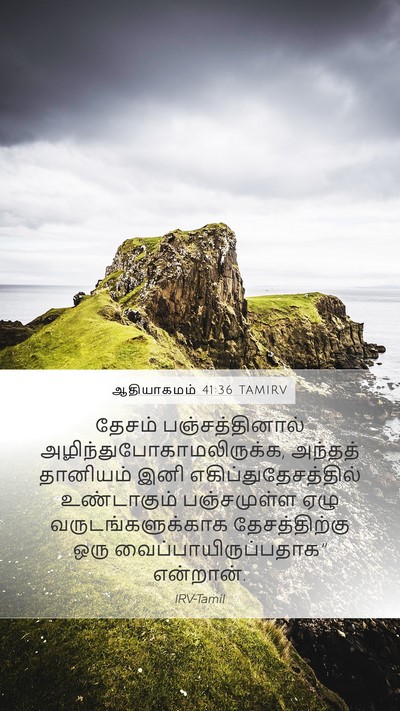 ஆதியாகமம் 41:36 TAMIRV Mobile Phone Wallpaper - தேசம் - Mobile Bible Verse Wallpaper