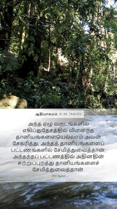 ஆதியாகமம் 41:48 TAMIRV Mobile Phone Wallpaper - அந்த ஏழு - Mobile Bible Verse Wallpaper