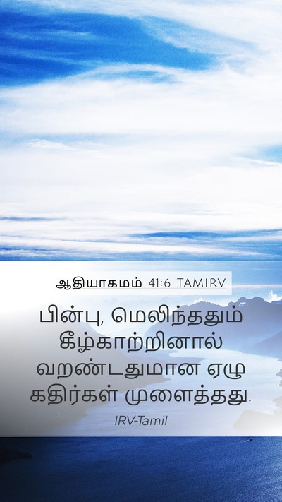 ஆதியாகமம் 41:6 TAMIRV Bible Verse Image