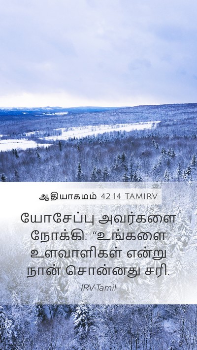ஆதியாகமம் 42:14 TAMIRV Mobile Phone Wallpaper - யோசேப்பு அவர்களை - Mobile Bible Verse Wallpaper