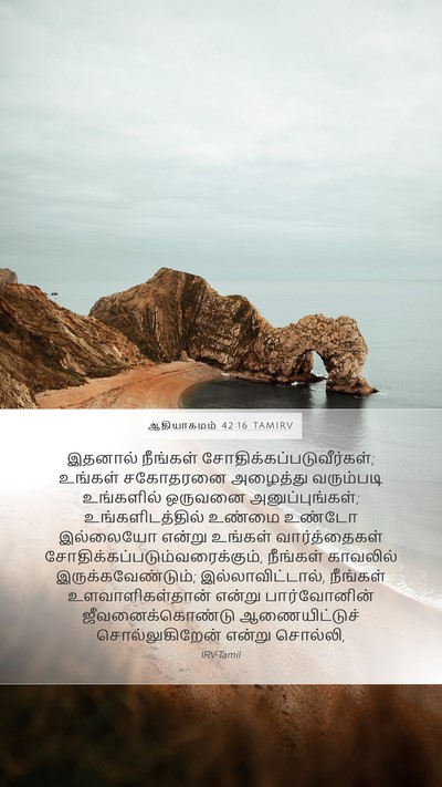 ஆதியாகமம் 42:16 TAMIRV Bible Verse Image