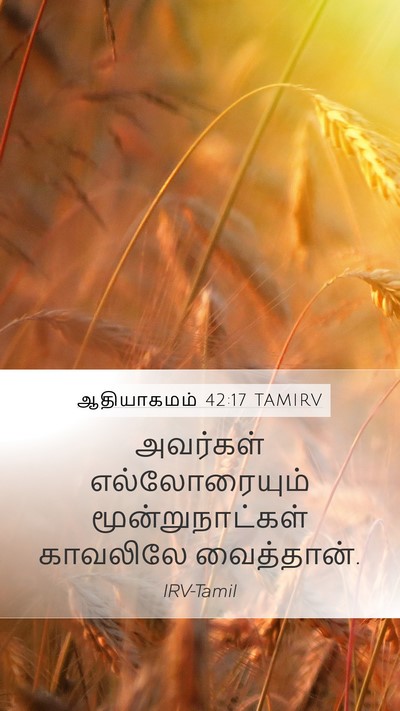 ஆதியாகமம் 42:17 TAMIRV Mobile Phone Wallpaper - அவர்கள் - Mobile Bible Verse Wallpaper