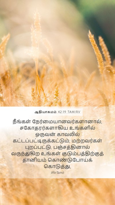 ஆதியாகமம் 42:19 TAMIRV Bible Verse Image