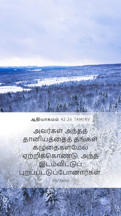 ஆதியாகமம் 42:26 TAMIRV Mobile Phone Wallpaper - அவர்கள் அந்தத் - Mobile Bible Verse Wallpaper