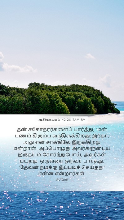 ஆதியாகமம் 42:28 TAMIRV Bible Verse Image