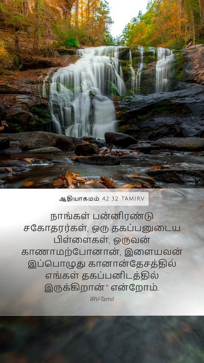 ஆதியாகமம் 42:32 TAMIRV Bible Verse Image
