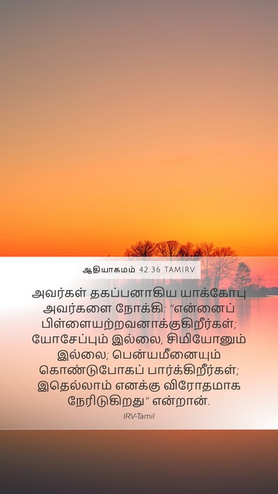 ஆதியாகமம் 42:36 TAMIRV Bible Verse Image