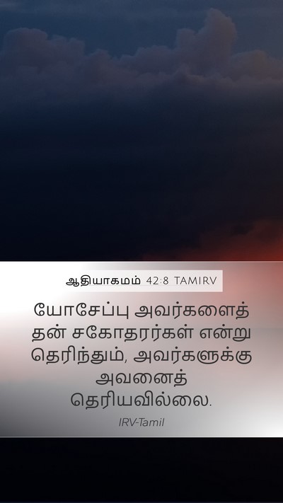ஆதியாகமம் 42:8 TAMIRV Mobile Phone Wallpaper - யோசேப்பு - Mobile Bible Verse Wallpaper