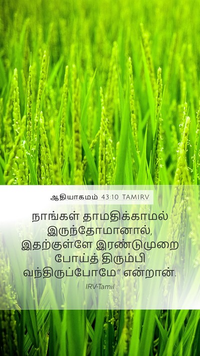 ஆதியாகமம் 43:10 TAMIRV Mobile Phone Wallpaper - நாங்கள் - Mobile Bible Verse Wallpaper