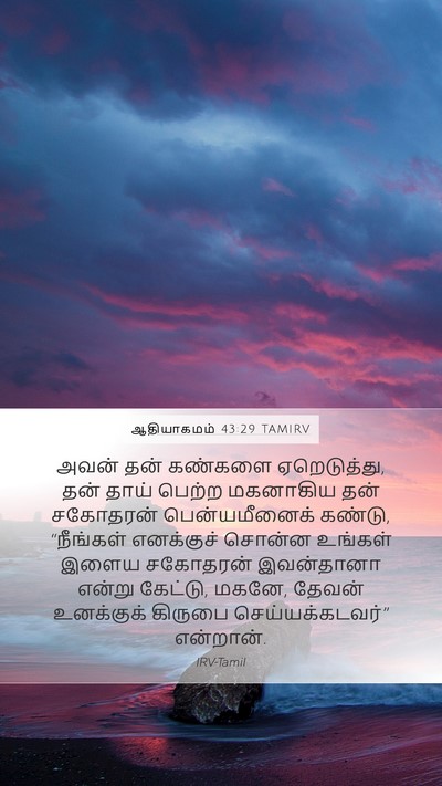 ஆதியாகமம் 43:29 TAMIRV Bible Verse Image