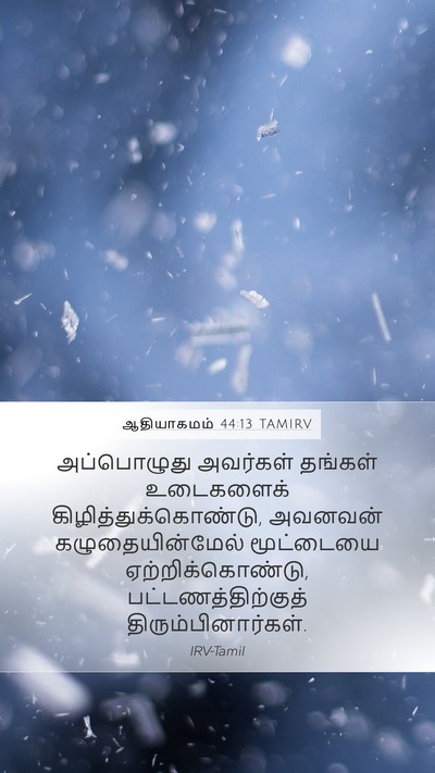ஆதியாகமம் 44:13 TAMIRV Bible Verse Image