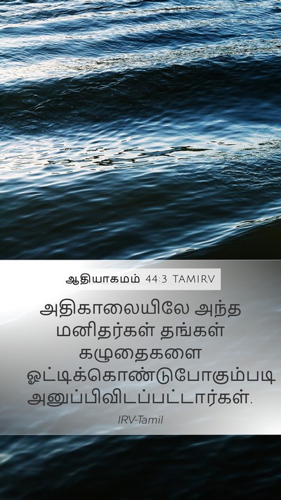 ஆதியாகமம் 44:3 TAMIRV Mobile Phone Wallpaper - அதிகாலையிலே அந்த - Mobile Bible Verse Wallpaper