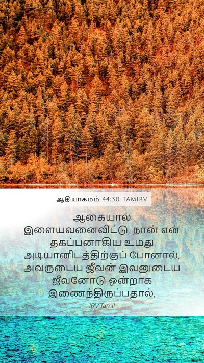 ஆதியாகமம் 44:30 TAMIRV Bible Verse Image