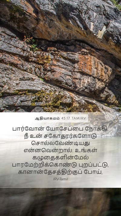 ஆதியாகமம் 45:17 TAMIRV Mobile Phone Wallpaper - பார்வோன் யோசேப்பை - Mobile Bible Verse Wallpaper