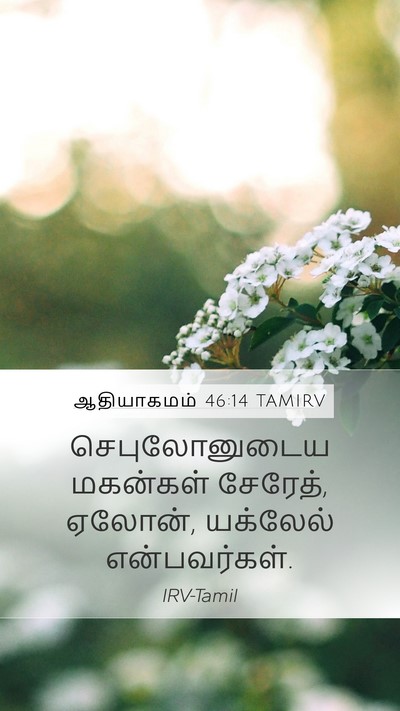 ஆதியாகமம் 46:14 TAMIRV Mobile Phone Wallpaper - செபுலோனுடைய - Mobile Bible Verse Wallpaper