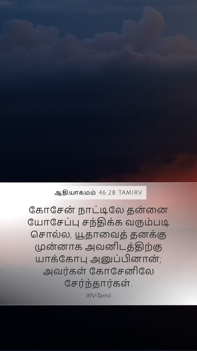 ஆதியாகமம் 46:28 TAMIRV Mobile Phone Wallpaper - கோசேன் நாட்டிலே - Mobile Bible Verse Wallpaper