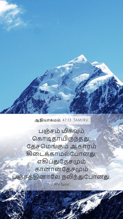 ஆதியாகமம் 47:13 TAMIRV Bible Verse Image