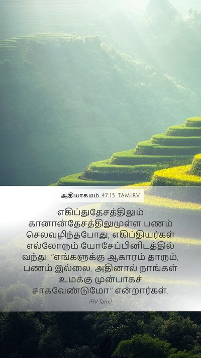 ஆதியாகமம் 47:15 TAMIRV Mobile Phone Wallpaper -  - Mobile Bible Verse Wallpaper