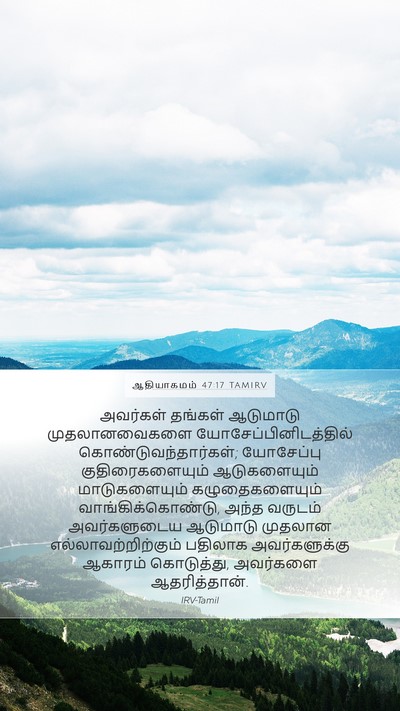 ஆதியாகமம் 47:17 TAMIRV Mobile Phone Wallpaper - அவர்கள் தங்கள் - Mobile Bible Verse Wallpaper