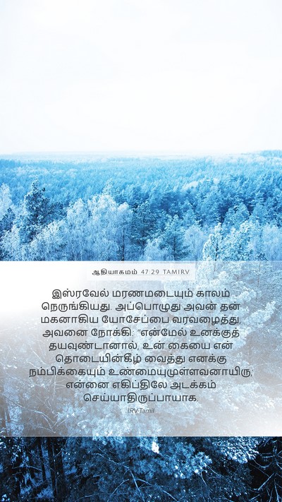 ஆதியாகமம் 47:29 TAMIRV Bible Verse Image