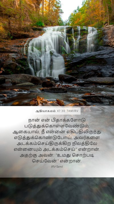 ஆதியாகமம் 47:30 TAMIRV Bible Verse Image